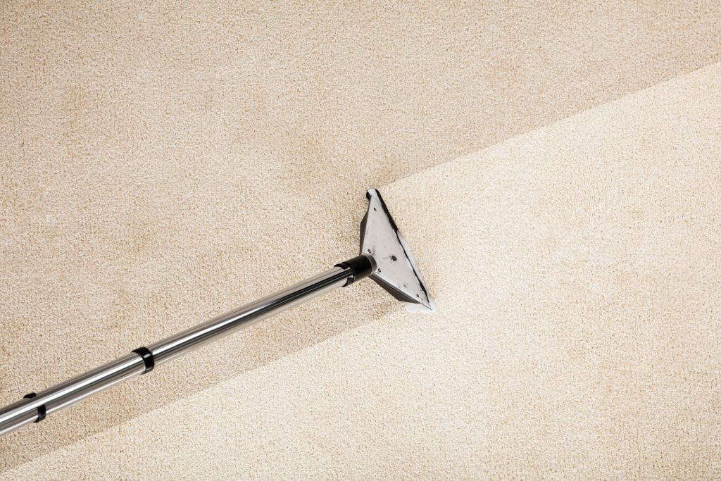 carpet cleaning alexandria va