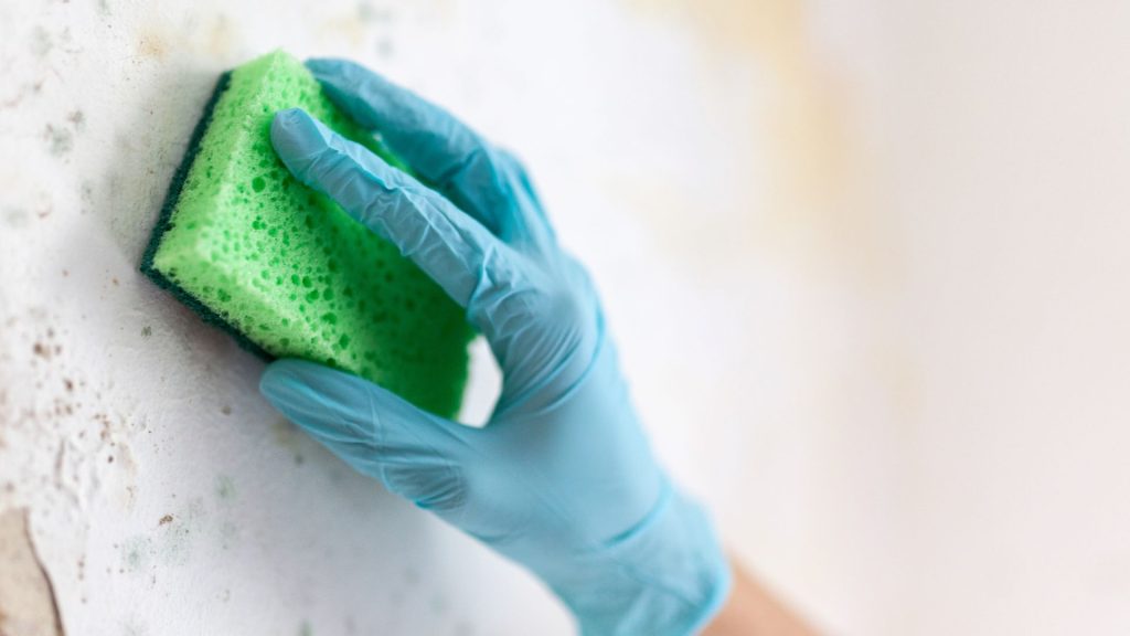 water damage cleaning Ashburn VA