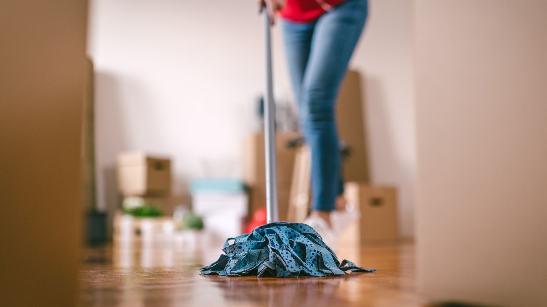 Move-Out Cleaning Centreville VA