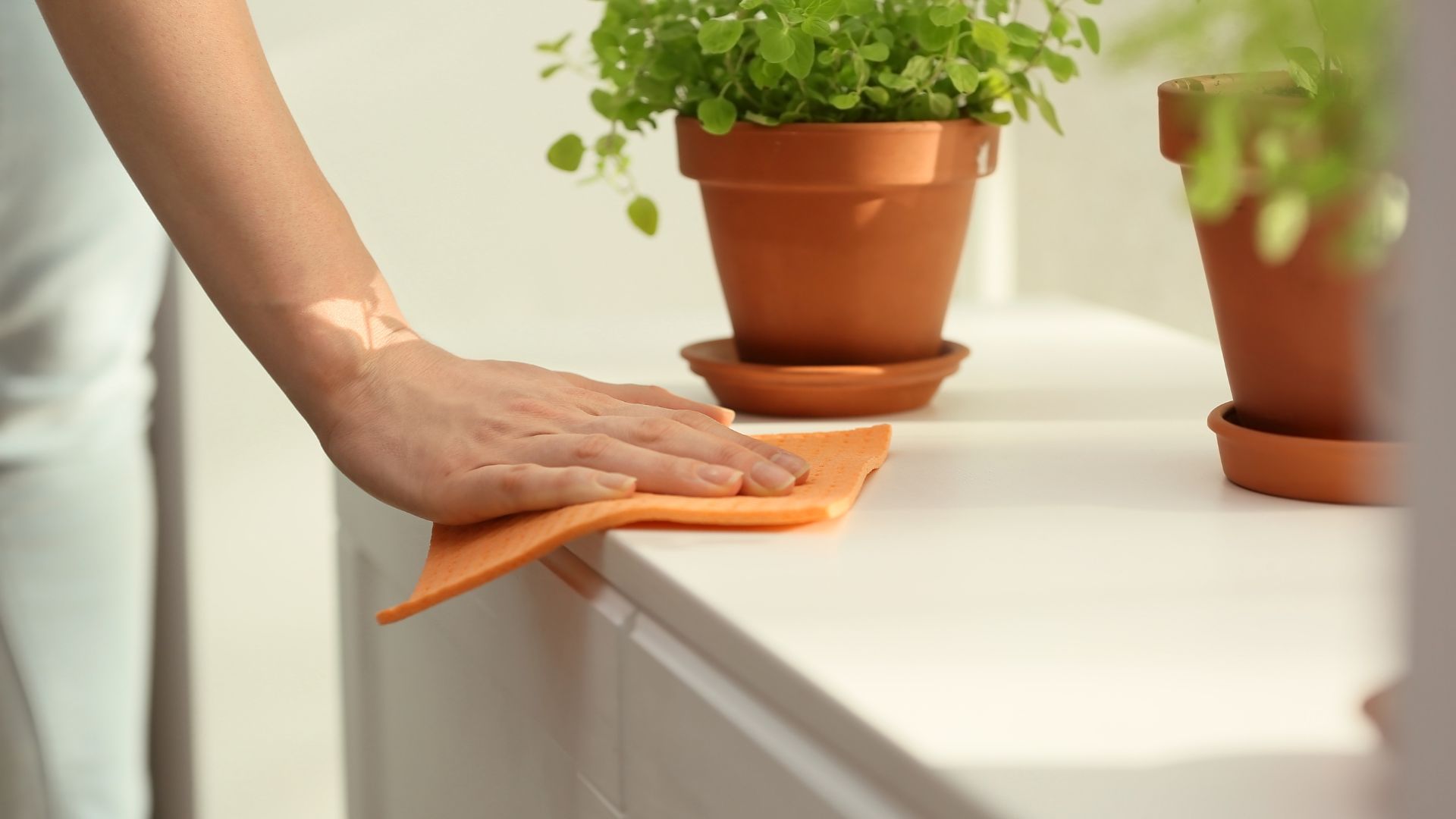 Professional Cleaning Services in Fairfax, VA